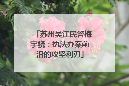 苏州吴江民警梅宇骁：执法办案前沿的攻坚利刃