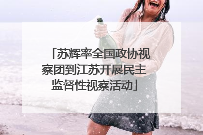 苏辉率全国政协视察团到江苏开展民主监督性视察活动