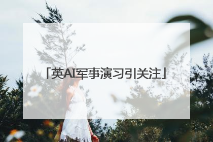 英AI军事演习引关注