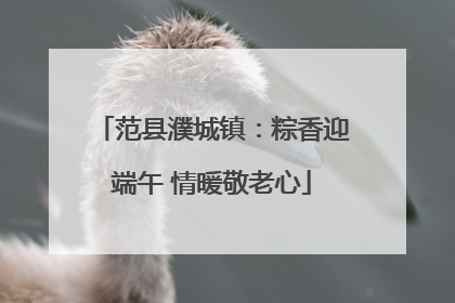 范县濮城镇：粽香迎端午 情暖敬老心