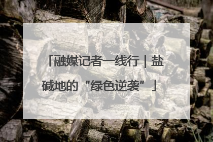 融媒记者一线行｜盐碱地的“绿色逆袭”
