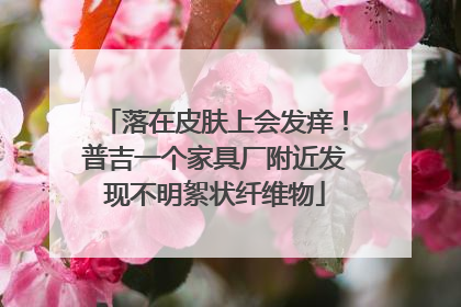 落在皮肤上会发痒！普吉一个家具厂附近发现不明絮状纤维物