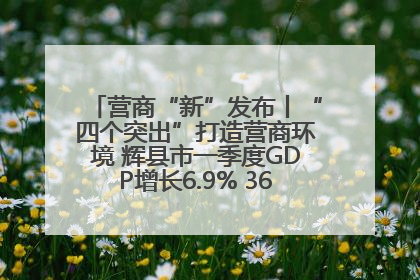 营商“新”发布丨“四个突出”打造营商环境 辉县市一季度GDP增长6.9% 36个重点项目落地