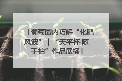 葡萄园内巧解“化肥风波”｜“天平杯·随手拍”作品展播