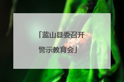 蓝山县委召开警示教育会