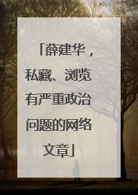 薛建华，私藏、浏览有严重政治问题的网络文章