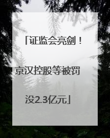 证监会亮剑！京汉控股等被罚没2.3亿元