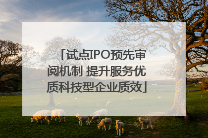 试点IPO预先审阅机制 提升服务优质科技型企业质效