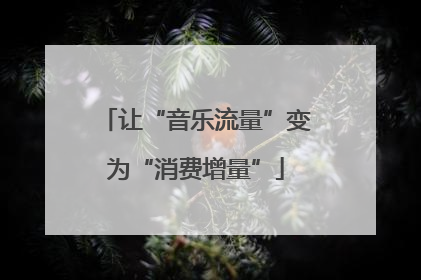 让“音乐流量”变为“消费增量”
