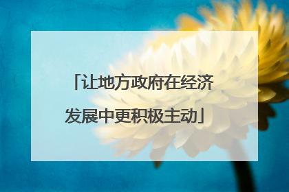 让地方政府在经济发展中更积极主动
