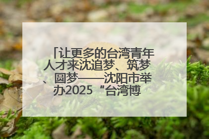 让更多的台湾青年人才来沈追梦、筑梦、圆梦——沈阳市举办2025“台湾博士沈阳行”活动