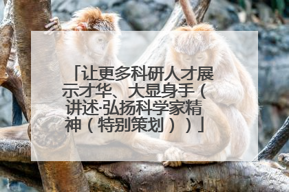 让更多科研人才展示才华、大显身手（讲述·弘扬科学家精神（特别策划））
