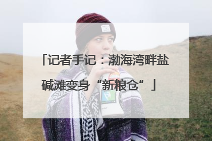 记者手记：渤海湾畔盐碱滩变身“新粮仓”