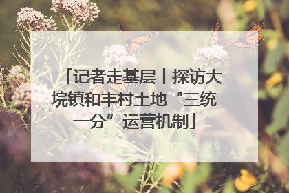 记者走基层丨探访大垸镇和丰村土地“三统一分”运营机制