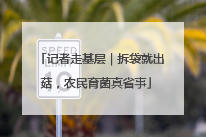 记者走基层｜拆袋就出菇，农民育菌真省事