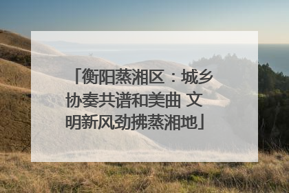 衡阳蒸湘区：城乡协奏共谱和美曲 文明新风劲拂蒸湘地