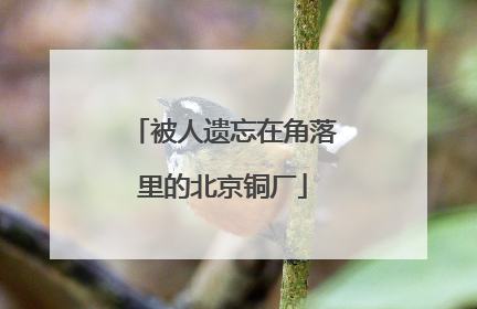 被人遗忘在角落里的北京铜厂