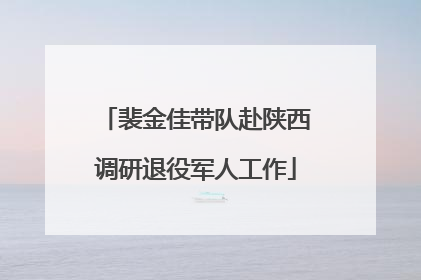 裴金佳带队赴陕西调研退役军人工作