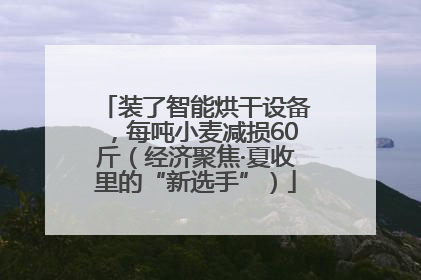 装了智能烘干设备，每吨小麦减损60斤（经济聚焦·夏收里的“新选手”）