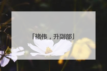 褚伟，升副部