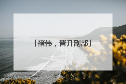 褚伟，晋升副部