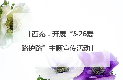 西充：开展“5·26爱路护路”主题宣传活动
