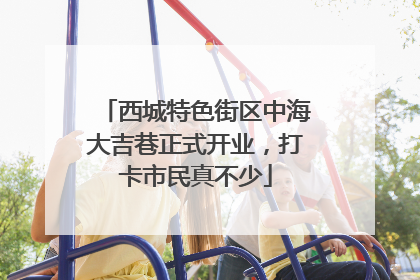 西城特色街区中海大吉巷正式开业，打卡市民真不少