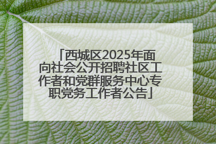 西城区2025年面向社会公开招聘社区工作者和党群服务中心专职党务工作者公告