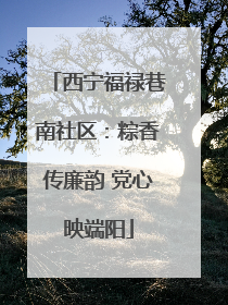 西宁福禄巷南社区：粽香传廉韵 党心映端阳