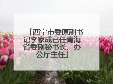 西宁市委原副书记李家成已任青海省委副秘书长、办公厅主任