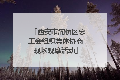 西安市灞桥区总工会组织集体协商现场观摩活动