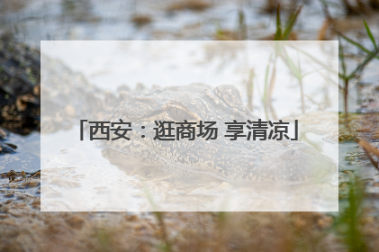 西安：逛商场 享清凉