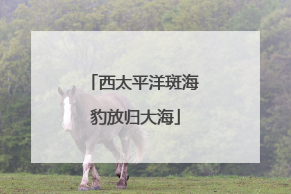 西太平洋斑海豹放归大海