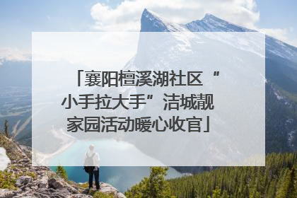 襄阳檀溪湖社区“小手拉大手”洁城靓家园活动暖心收官