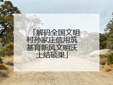 解码全国文明村孙家庄信用筑基育新风文明沃土结硕果