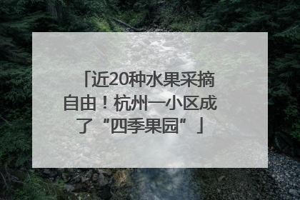 近20种水果采摘自由！杭州一小区成了“四季果园”