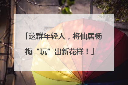 这群年轻人，将仙居杨梅“玩”出新花样！
