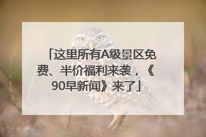 这里所有A级景区免费、半价福利来袭，《90早新闻》来了