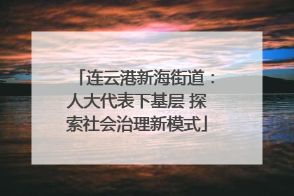 连云港新海街道：人大代表下基层 探索社会治理新模式