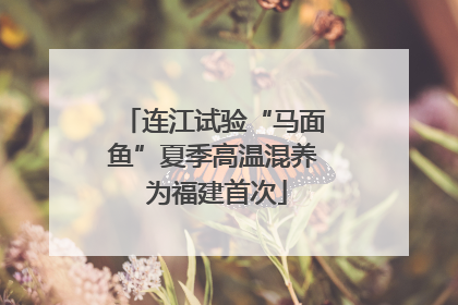 连江试验“马面鱼”夏季高温混养 为福建首次