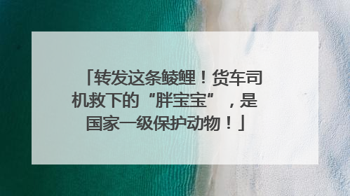 转发这条鲮鲤！货车司机救下的“胖宝宝”，是国家一级保护动物！