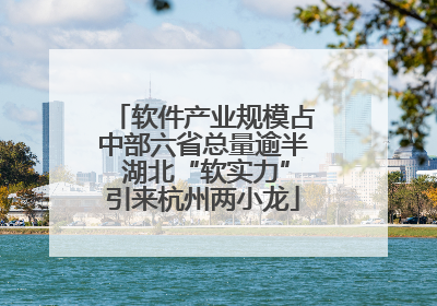 软件产业规模占中部六省总量逾半 湖北“软实力”引来杭州两小龙