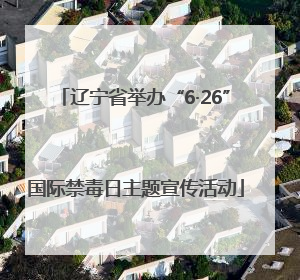 辽宁省举办“6·26”国际禁毒日主题宣传活动