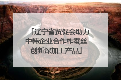 辽宁省贸促会助力中韩企业合作柞蚕丝创新深加工产品