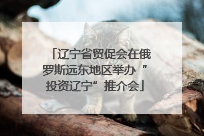 辽宁省贸促会在俄罗斯远东地区举办“投资辽宁”推介会