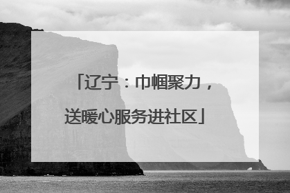 辽宁：巾帼聚力，送暖心服务进社区