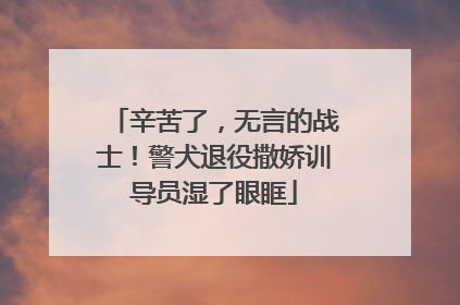 辛苦了，无言的战士！警犬退役撒娇训导员湿了眼眶