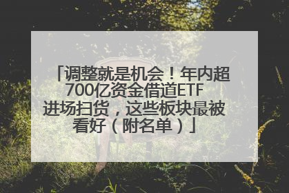 调整就是机会！年内超700亿资金借道ETF进场扫货，这些板块最被看好（附名单）