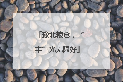 豫北粮仓，“丰”光无限好
