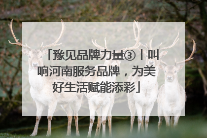 豫见品牌力量③丨叫响河南服务品牌，为美好生活赋能添彩